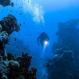 Подводные фонари | Тактические фонари | Тактический фонарь для любых задач