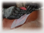 Прозрачный клейкий пластырь (6х6 дюймов) HyFin Chest Seal North American Rescue
