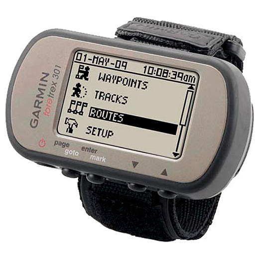 GPS-навигатор Garmin Foretrex 301