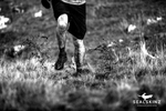 Непромокаемые носки Thin Ankle SealSkinz