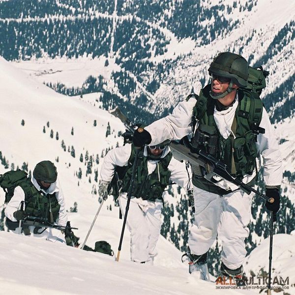 Военные лыжники: применение лыж в военном деле