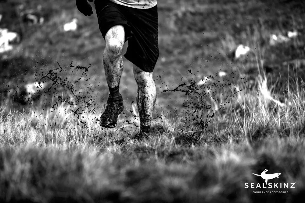 Непромокаемые носки Thin Ankle SealSkinz