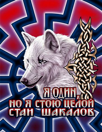 3D Магнит "Белый Волк" | Военторг ALLMULTICAM 